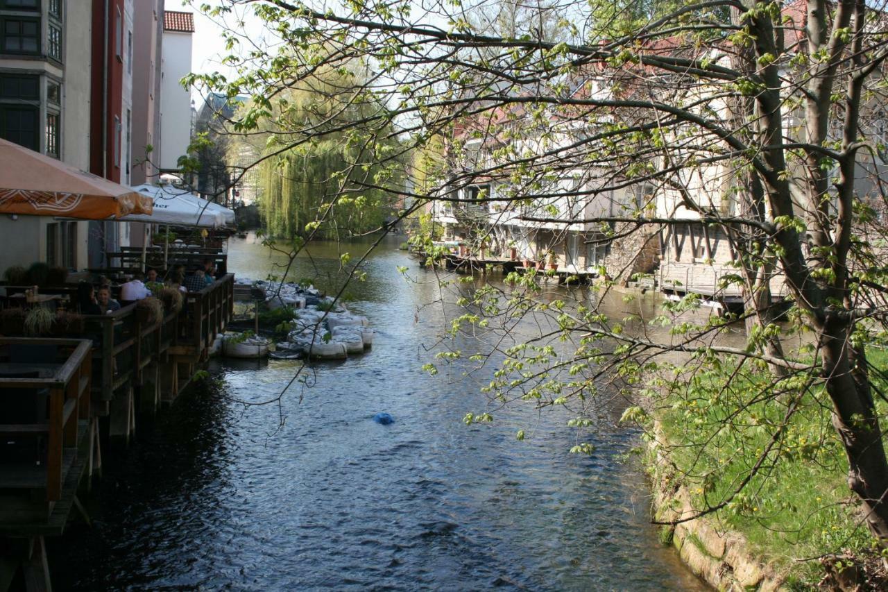 Am Puls Der Altstadt Erfurt Dış mekan fotoğraf